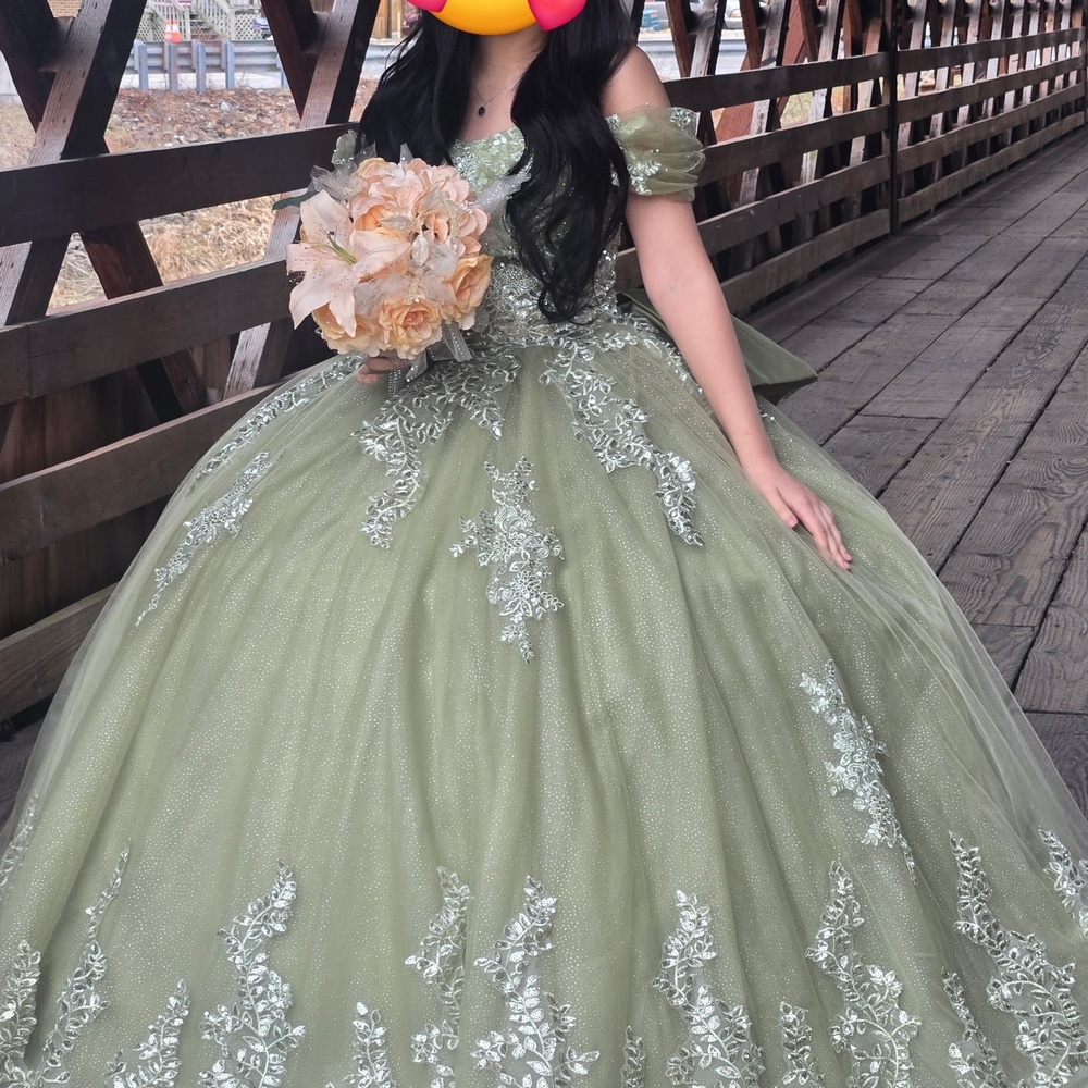 Sage Green Quince/Sweet 16 Gown with Silver Beaded Appliqué